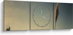 Obraz s trávou (s hodinami) (90x30 cm)