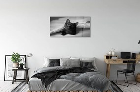 Sklenený obraz Mačka pod prikrývkou 120x60 cm