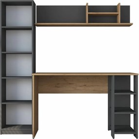 Pracovný stôl s knižnicou Hado Walnut and Anthracite