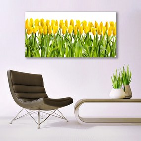 Obraz plexi Tulipány kvety príroda 120x60 cm