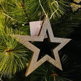 DECOLED Zlatá hviezda, dutá, 15 cm