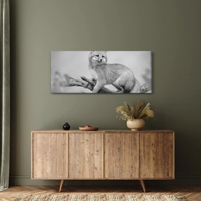 Obraz - Líška šedá (120x50 cm)