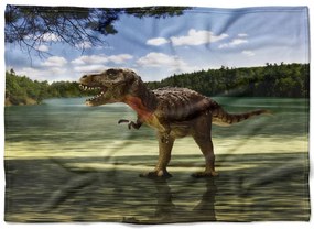 Deka Tyrannosaurus  (Rozmer: 150 x 120 cm, Podšitie baránkom: NE)