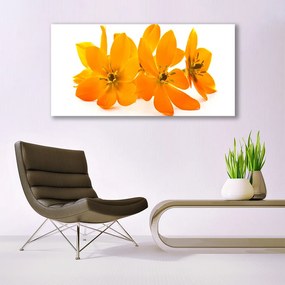 Obraz na akrylátovom skle Oranžové kvety 120x60 cm