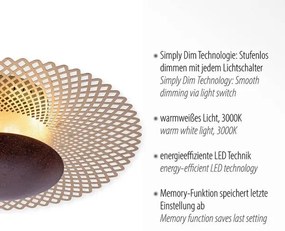 Paul Neuhaus 6551-48 - LED Stmievateľné stropné svietidlo NEVIS LED/18W/230V