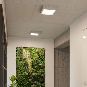 Stropné LED svietidlo Riza, 1x LED 18w, 3000k, betón