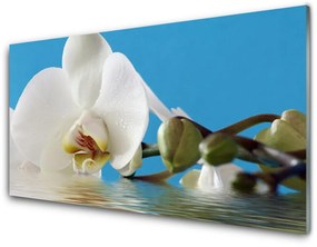 Nástenný panel  Kvet rastlina príroda 125x50 cm
