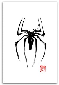 Gario Obraz na plátne Čierny pavúk - Péchane Rozmery: 40 x 60 cm
