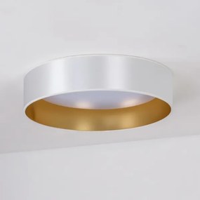 Duolla - LED Stropné svietidlo ROLLER LED/24W/230V pr. 45 cm strieborná/zlatá