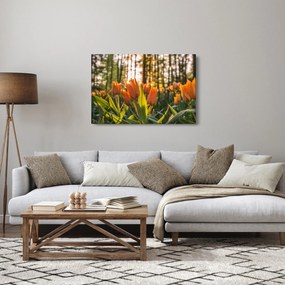 Obraz - kvety tulipánov (90x60 cm)