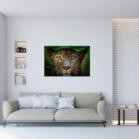 Obraz - Portrét leoparda, Sri Lanka (90x60 cm)