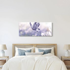 Obraz - Motýľ a levanduľa (120x50 cm)