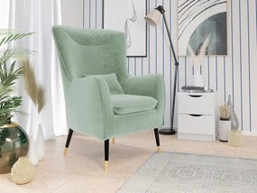 Čalúnené kreslo Arisean, Dostupné poťahy: Magic Velvet 2201