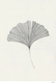 Plagát 50x70 cm Ginkgo Leaf – Ana Frois – The Poster Club