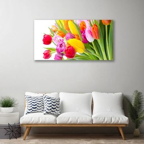 Obraz Canvas Tulipány kvety rastlina 100x50 cm