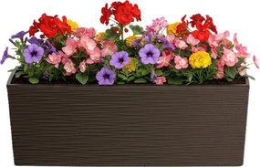 Plastový květináč Bouquet Riflo 56x19 cm mokka