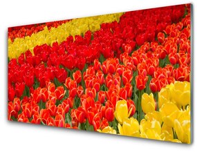 Obraz na skle Tulipány kvety 140x70 cm