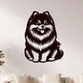 dřevo života Drevený obraz psa Pomeranian Rozmery - cm: 45x60, Zvoľte farbu dekoru: Bílá