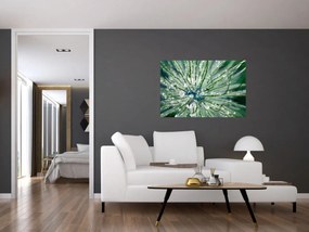Obraz - Makro snímka kvetu (90x60 cm)
