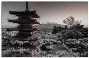 Obraz na plátne - Pohľad na horu Fuji  161FA (90x60 cm  )