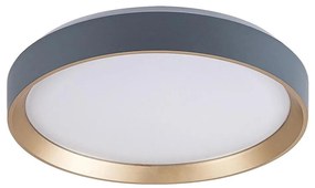 Rabalux 71185 - LED Stropné svietidlo LIATRIS LED/25W/230V 3000K pr. 38 cm