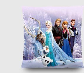 Detský vankúšik DISNEY ĽADOVEJ KRÁĽOVSTVO FROZEN 40x40 cm