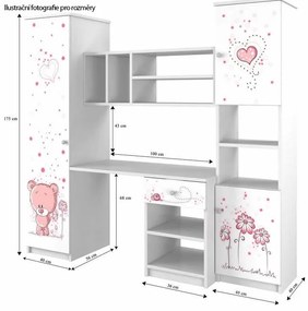 Detská stena do izby - RUŽOVÁ BALETKA
