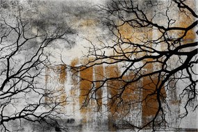 Obraz - Siluety stromov (90x60 cm)