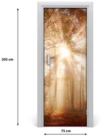 Fototapeta na dvere samolepiace les jeseň 75x205 cm
