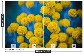 Fototapeta Vliesová Žlté kvety 250x104 cm