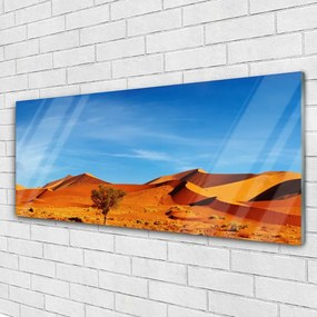 Obraz plexi Púšť krajina 125x50 cm