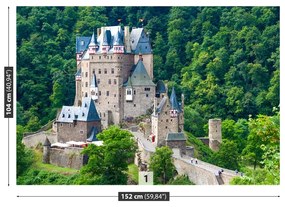 Fototapeta Vliesová Stredoveký hrad 104x70 cm