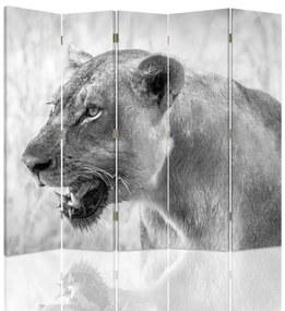 Gario Paraván Lioness Rozmery: 180 x 170 cm, Prevedenie: Klasický paraván