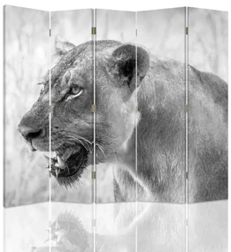 Gario Paraván Lioness Rozmery: 180 x 170 cm, Prevedenie: Klasický paraván