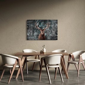Obraz - Majestátnosť jeleňa (90x60 cm)
