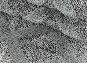 Koberce Breno Kusový koberec PISA 4702 Grey, sivá,240 x 340 cm