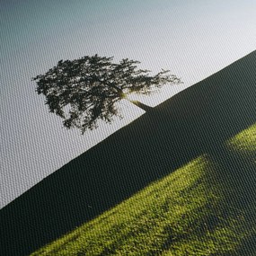 Obraz prírody - strom (120x50 cm)
