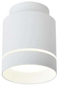 LED Stropné svietidlo TUBA LED/12W/230V