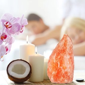 Soľná lampa SALLY 1xE14/25W/230V