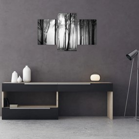 Obraz - Vlk v temnom lese (90x60 cm)