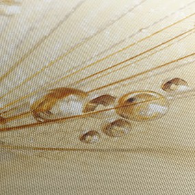 Obraz - Makro fotografie púpavy (s hodinami) (90x30 cm)