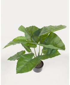 Umelá rastlina (výška 57 cm) Odora – Kave Home