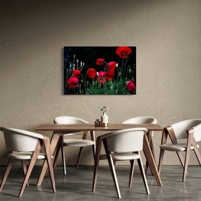 Obraz - Tanec vlčích makov (90x60 cm)