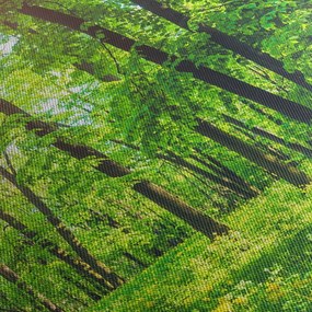 Obraz - Jarný listnatý les (150x105 cm)