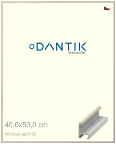 DANTIK rám na obraz 40x50 | ALU Dýha slovnová kost (Plexi Čiré)