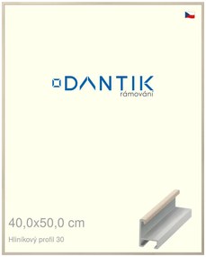 DANTIK rám na obraz 40x50 | ALU Dýha slovnová kost (Plexi Čiré)