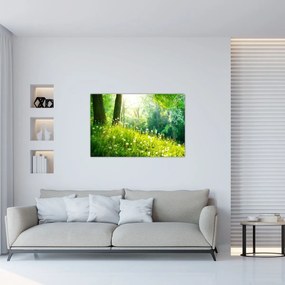 Obraz - Magická lúka plná púpav (90x60 cm)
