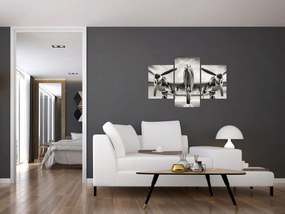 Obraz - Warbird (90x60 cm)