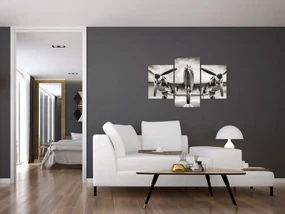 Obraz - Warbird (90x60 cm)