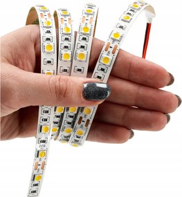 ECOLIGHT LED pásik - SMD 2835 600 - 50 m - 9,6 W/m - IP20 - neutrálna biela